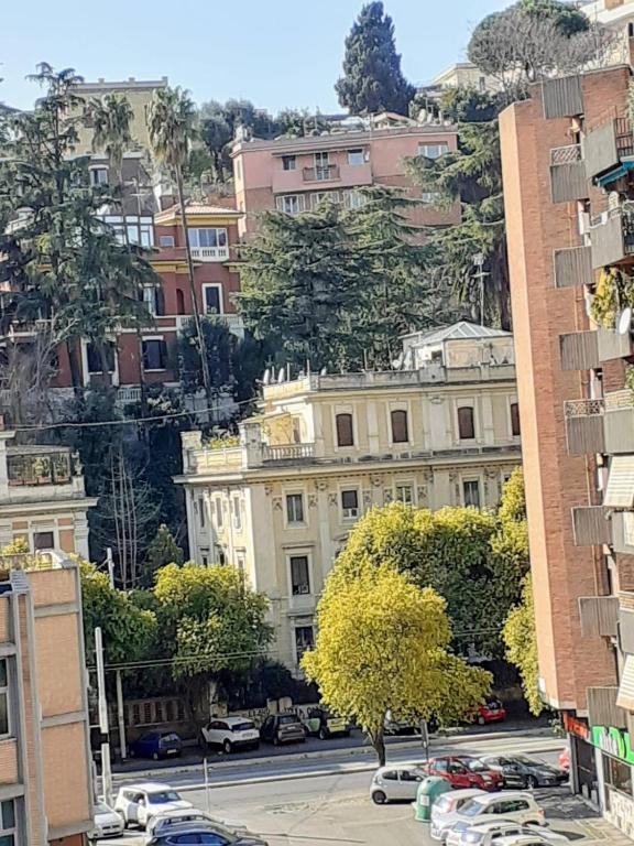 Panoramic view of Rome from the balcony